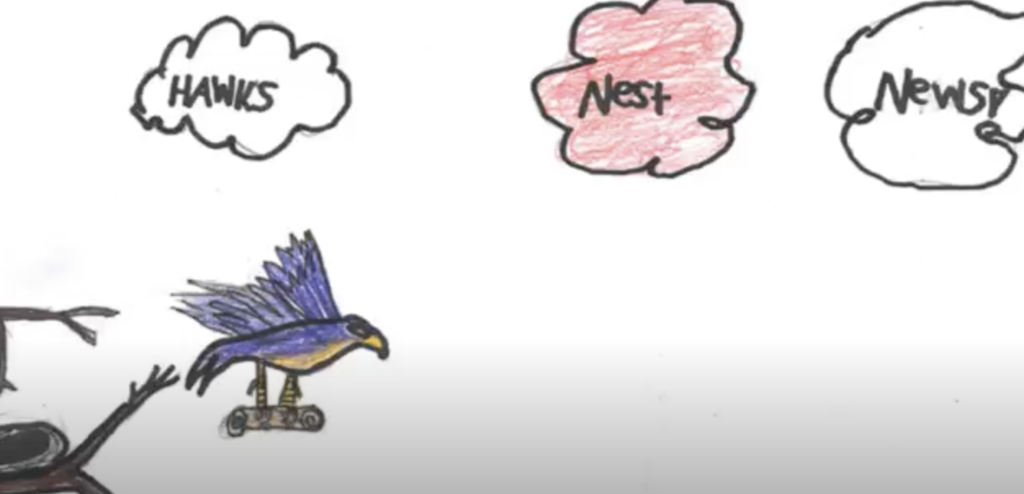 Hawks Nest News